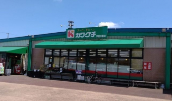 ���ӊ��@�X�[�p�[�`�F�[���J���O�`�G���̐X�X �k��7���B 540m