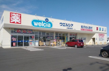 ���ӊ��@�E�G���V�A��Ԕ����X �k��56���B 4430m