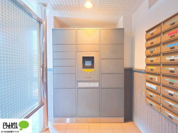 ���̑��@��z�{�b�N�X