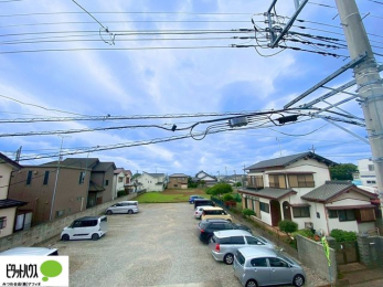 ���̑��@�o���R�j�[����̒��]�B