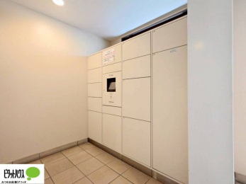 ���̑��@��z�{�b�N�X