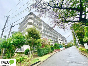 �O�ώʐ^�@�����w�͂��C�y�ɂ��⍇�����������܂��B