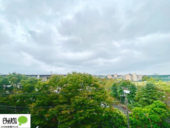 ���̑��@�o���R�j�[����̒��]�B