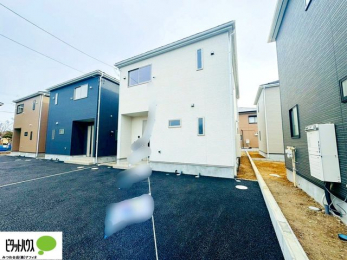 �O�ώʐ^�@���n�����ʐ^�F2026�N1��15��