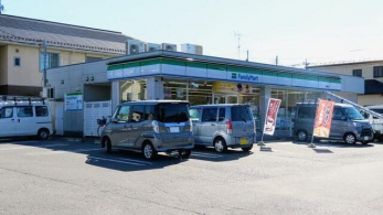 ���ӊ��@�t�@�~���[�}�[�g���V�x���X �k��4���B 290m