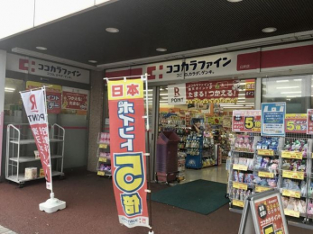 ���ӊ��@�R�R�J���t�@�C���P��X �k��29���B 2260m