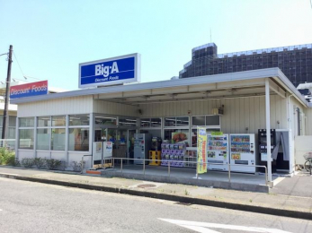 ���ӊ��@�r�b�O�E�G�[��t�^���X �k��4���B 300m