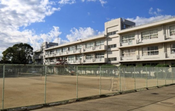 ���ӊ��@��t�s��/���钆�w�Z �k��15���B 1190m