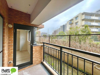 �o���R�j�[�@�z������̗ǂ��L�X�o���R�j�[�B