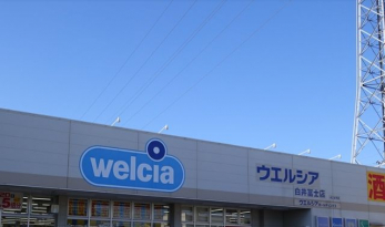 ���ӊ��@�E�G���V�A����y�m�X �k��4���B 254m