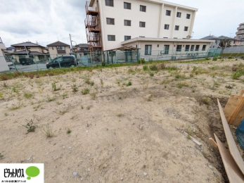 �y�n�ʐ^�@�ՐÂȏZ��X�̑�^�����n�ł�