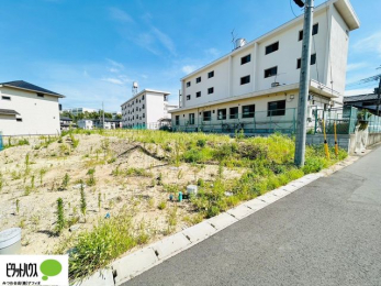 �y�n�ʐ^�@7/31