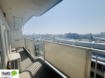 �o���R�j�[�@�z�c�₽������̐��󕨂������郏�C�h�o���R�j�[