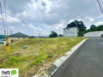 �y�n�ʐ^�@7��8���@���n�����ʐ^