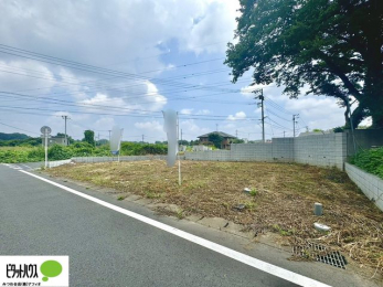 �y�n�ʐ^�@7��8���@���n�����ʐ^