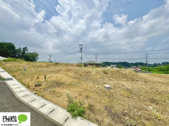 �y�n�ʐ^�@�~�n�L�X45�ؒ��B