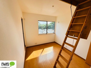 ���̑����ρ@�傫�ȑ����疾�邢�z�˂�������܂��B