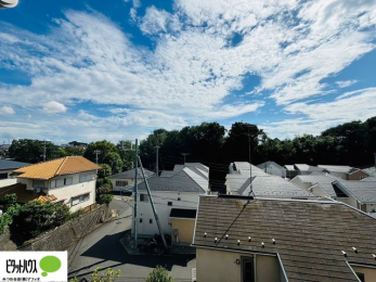 ���̑��@�o���R�j�[����̒��]�B