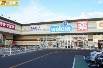 ���ӊ��@�E�G���V�A�Ό����C�t�K�[�f���X �k��3���B 230m