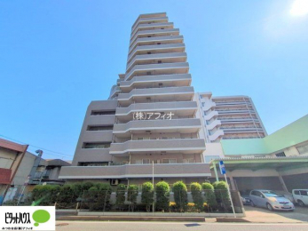 �O�ώʐ^�@�����w�͂��C�y�ɂ��⍇�����������܂��B