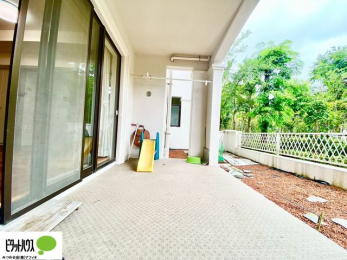 �o���R�j�[�@�z������̗ǂ��L�X�o���R�j�[�B