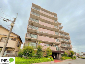 �O�ώʐ^�@�V�������u��s���v�w�k��1���̍D���n�I���Z�Ґ�p�̉w�����ʗp���L��I�ʋ΁E�ʊw�ɕ֗��B