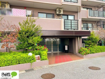 �G���g�����X�@�L�X�Ƃ������ꂢ�ȃG���g�����X