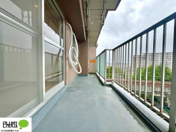 �o���R�j�[�@�z������̗ǂ��L�X�o���R�j�[�B