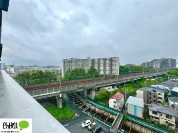 ���̑��@�o���R�j�[����̒��]�B