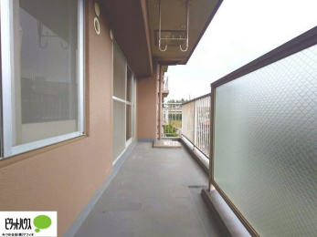 �o���R�j�[�@�z������̗ǂ��L�X�o���R�j�[�B