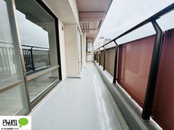 �o���R�j�[�@�z�c�₽������̐��󕨂������郏�C�h�o���R�j�[