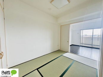 �Q���@�a���́A���q�l�ƗV�񂾂�A�Ǝ���������A�����Q�Ȃǎg������l�X�ł�