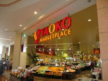 ���ӊ��@���I�R�[���j�����͂��X �k��20���B 1540m