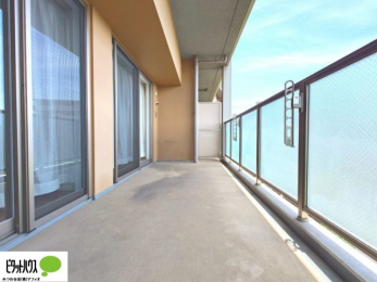 �o���R�j�[�@�z������̗ǂ��L�X�o���R�j�[�B