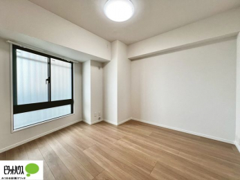 ���̑����ρ@�傫�ȑ����疾�邢�z�˂�������܂��B