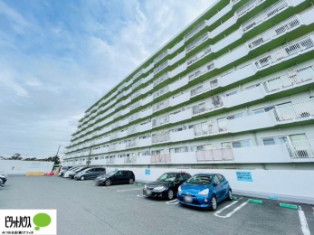 �O�ώʐ^�@229�˂̑�K�̓}���V������