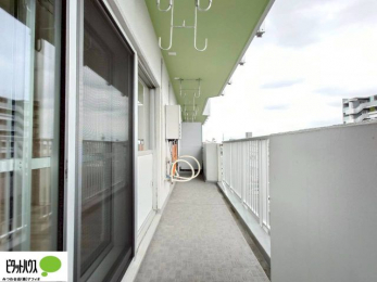 �o���R�j�[�@�z�c�₽������̐��󕨂������郏�C�h�o���R�j�[