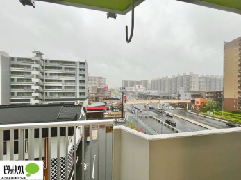 ���̑��@�o���R�j�[����̒��]�B