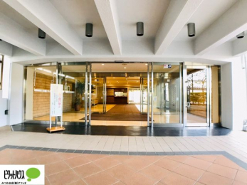 �G���g�����X�@�L�X�Ƃ������ꂢ�ȃG���g�����X�B