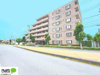 �O�ώʐ^�@���n�ʐ^