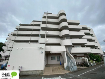 �O�ώʐ^�@�����w�͂��C�y�ɂ��\���t����������