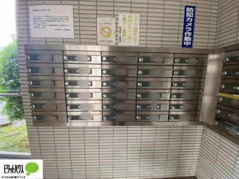 ���̑��@�|�X�g