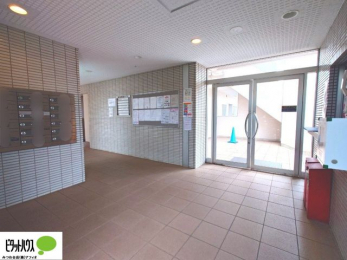 ���̑��@���r�[