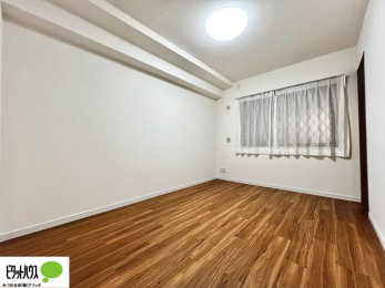 ���[�@�傫�ȑ����疾�邢�z�˂�������܂��B