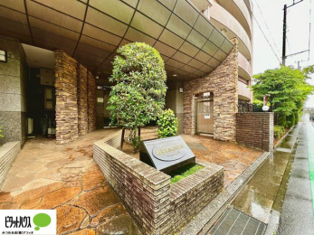 ���ӊ��@�L�X�Ƃ������ꂢ�ȃG���g�����X�B