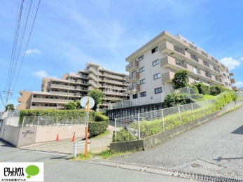 �O�ώʐ^�@�s�J�s�J���t�H�[���ςł����ɐV�������n�߂��܂��I�����w�͂��C�y�ɂ��⍇�����������܂��B