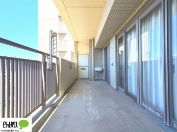 �o���R�j�[�@�z�c�₽������̐��󕨂������郏�C�h�o���R�j�[