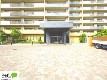 �G���g�����X�@�L�X�Ƃ������ꂢ�ȃG���g�����X