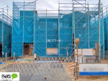 �O�ώʐ^�@���n�����ʐ^�F2025�N11��11��