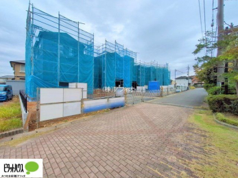 �O�ώʐ^�@���n�����ʐ^�F2025�N11��11��